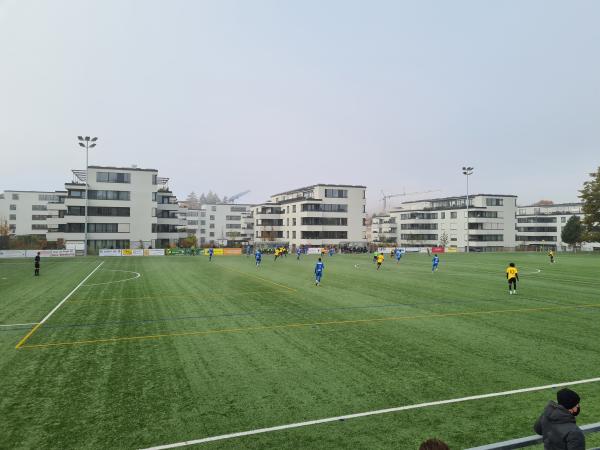 Sportplatz Steinkluppe - Zürich