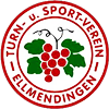 Wappen TuS Ellmendingen 1891 II