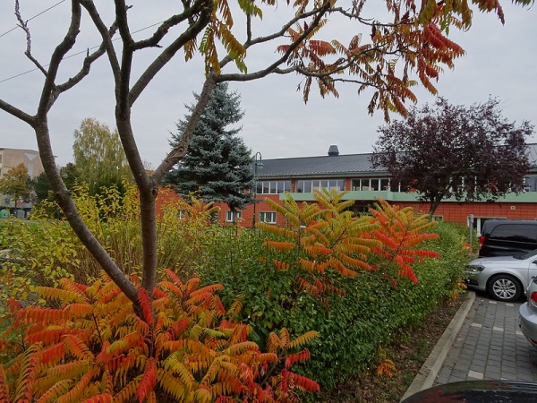 Otto-Ibs-Sporthalle - Hagenow