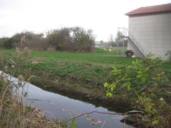 Sportanlage Angerstraße Platz 2 - Barleben