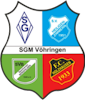 Wappen SGM Bergfelden/Vöhringen/Heiligenzimmern/Holzhausen - Frauen (Ground B)