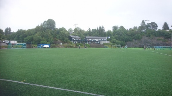 Liland kunstgress - Blomsterdalen