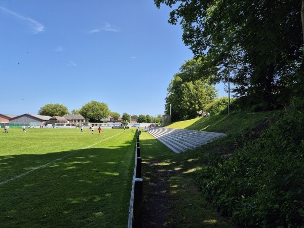 Lars R. Jacobsen Park. - Odense-Dalum