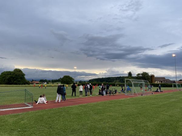 Sportplatz Herdli Nebenplatz - Ramsen