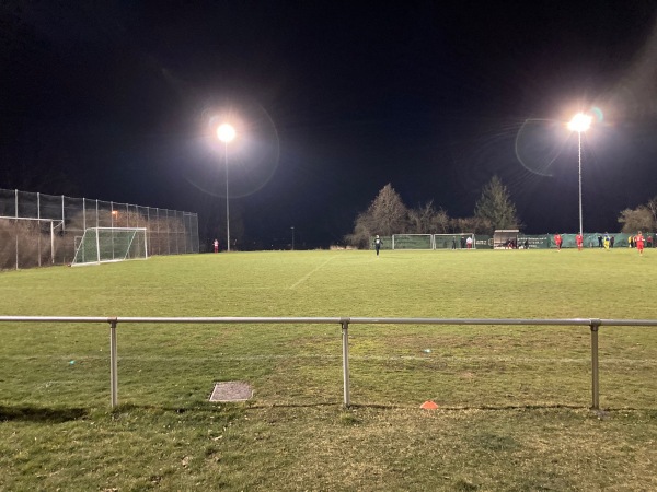 Sportanlage Waldheim Platz 2 - Nürtingen-Roßdorf