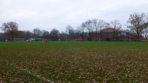 SwanCity-Arena - Kiebitzreihe