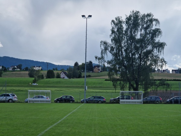 Sportplatz Beichlen Platz 3 - Wädenswil
