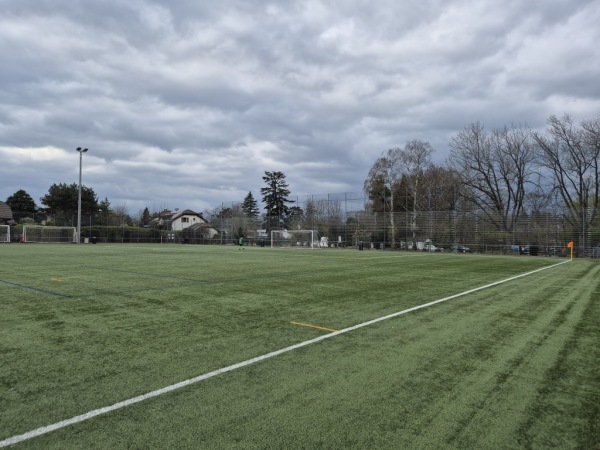 Stade des Fraisiers terrain B - Grand-Lancy
