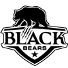 Wappen Black Bears Potsdam 2018