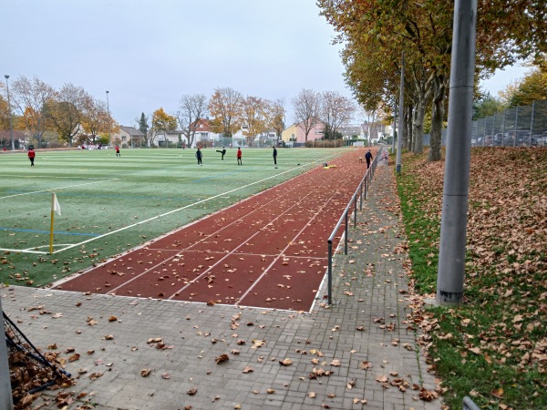 Stadion an der Bleichstraße Nebenplatz - Mainz-Weisenau