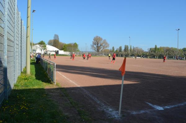 Sportplatz am Hafenpark - Rüdesheim/Rhein