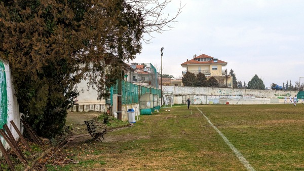 Gipedo Litis - Liti