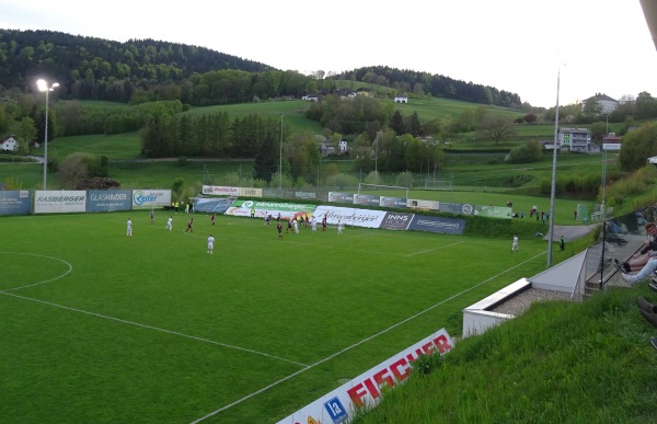 Fischer Arena - Peilstein