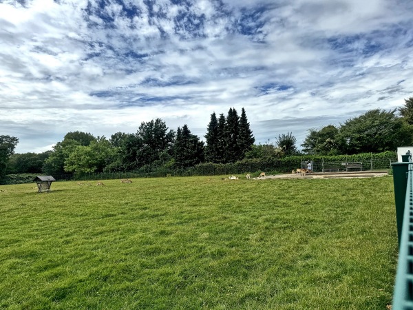Sportplatz Kurler Straße - Dortmund-Lanstrop