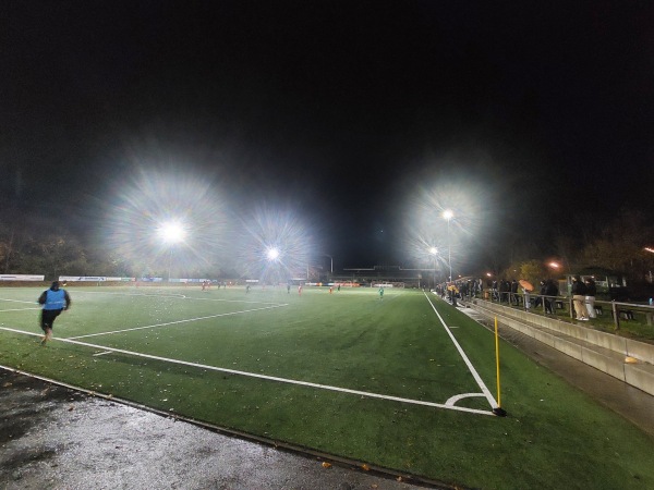 Senator-Voigt-Sportanlage - Miesbach
