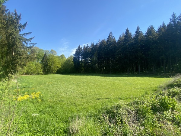 Waldstadion Nebenplatz - Lübstorf