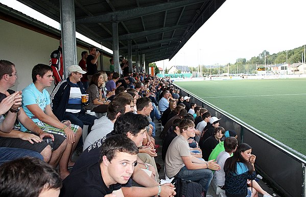 Zaunergroup Arena - Wallern an der Trattnach