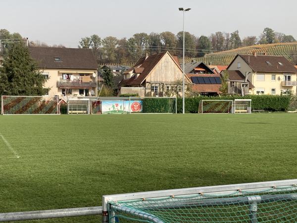 Abtsbergstadion Nebenplatz - Offenburg-Zell-Weierbach