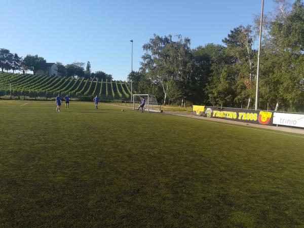 Sportplatz am Weinberg - Neustadt/Weinstraße-Hambach
