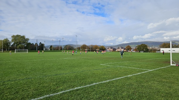 Queens Sports Upper Malone pitch 15 - Belfast