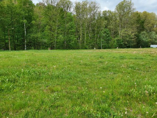 Sportplatz an der Müglitztalstraße 2 - Altenberg/Erzgebirge-Bärenstein