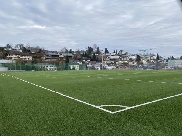 Sportplatz Hofmatt Kunstrasenplatz - Meggen