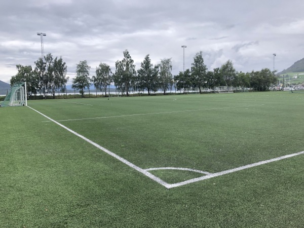 Rosendal kunstgress - Rosendal