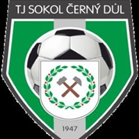 Wappen TJ Sokol Černý Důl