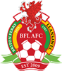 Wappen Briton Ferry Llansawel AFC