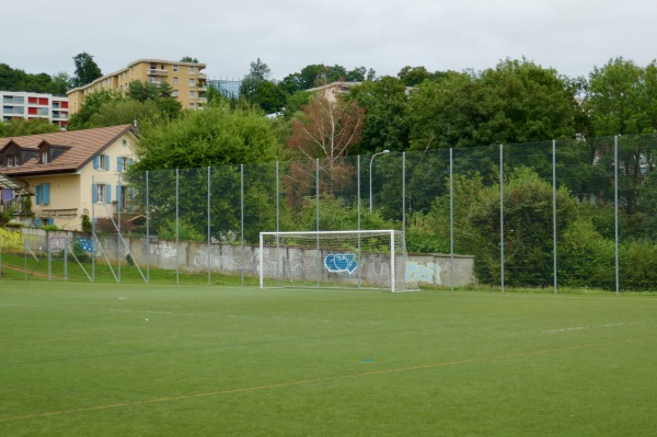 Complexe Sportif de la Fleur de Lys terrain 3 - Prilly