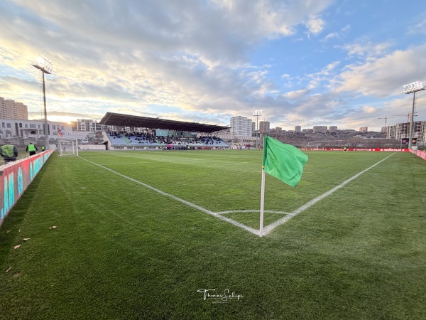 Armenia Football Academy grass - Yerevan