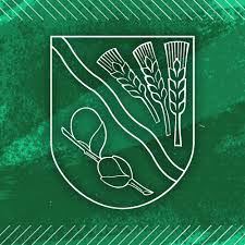 Wappen KP Górnik Wierzbinek