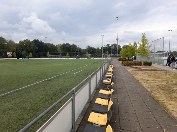 Sportpark Brilmansdennen veld 4 - Losser