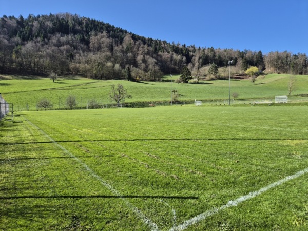 Sportplatz z'Hof Platz 2 - Oberdorf