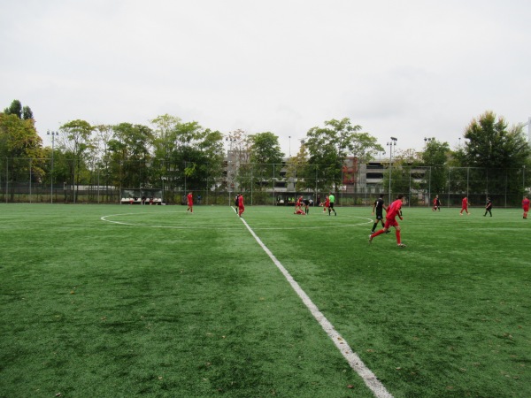 Complexul Sportiv National Lia Manoliu - București (Bucharest)