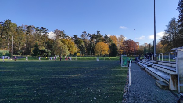 Albert-Kuntz-Sportpark Platz 4 - Nordhausen