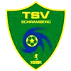 Wappen Türk SV Schramberg 1991  58513