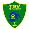 Wappen Türk SV Schramberg 1991