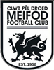 Wappen Meifod FC