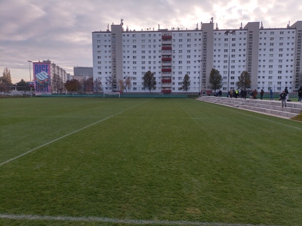 First Vienna Football Campus Platz 2 - Wien