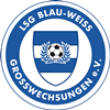 Wappen LSG Blau-Weiß Großwechsungen 1902 diverse