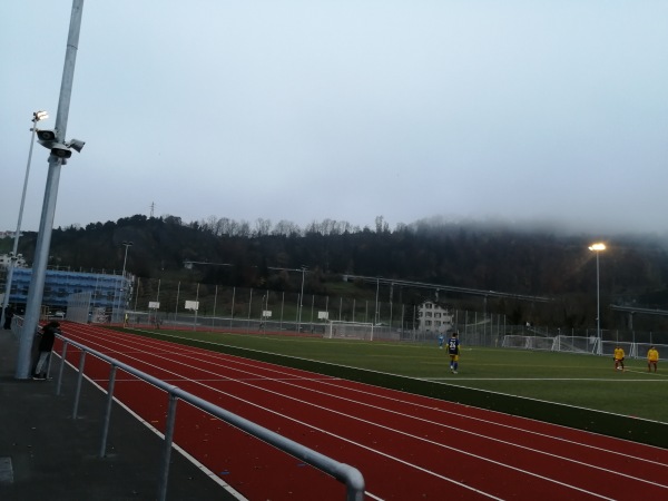 Schul- und Sportanlage Oberarth - Arth-Goldau
