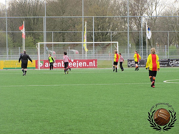 Sportpark De Bijlen - Alphense Boys - Alphen aan den Rijn