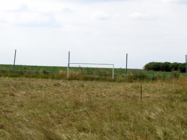 Sportplatz Höhnstedt 2 - Salzatal-Höhnstedt