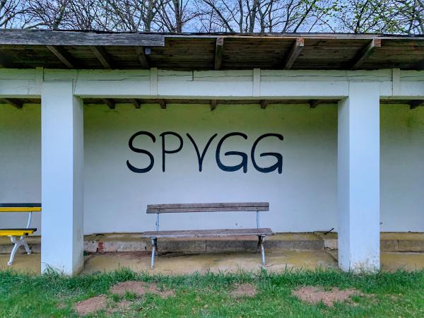 Sportplatz An der Kalten Buche - Grebenhain-Hartmannshain