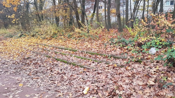 Sportanlage Lustheider Straße Platz 2 - Köln-Vingst