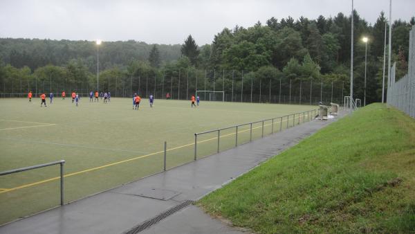 Bezirkssportanlage Schlotwiese Platz 3 - Stuttgart-Zuffenhausen