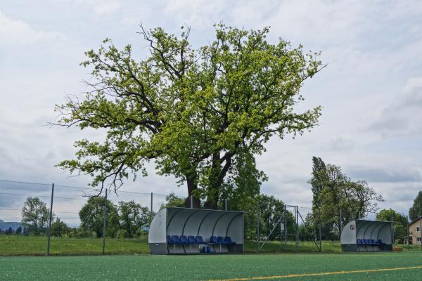 Stadion an der Ratz Nebenplatz - Röthis