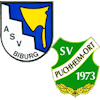 Wappen SG Biburg II / Puchheim-Ort II (Ground B)