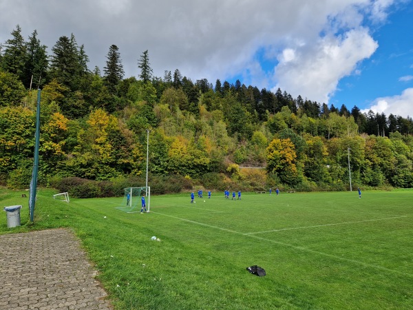 Flößer-Stadion Nebenplatz - Wallenfels